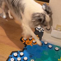 会話ボタンに前足を伸ばす犬