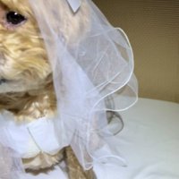 ちくわちゃんの反応は…