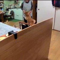 おばあちゃんのことが大好き