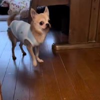 体調は少しずつ回復