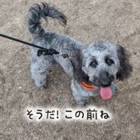幸せを掴んだオレオくん7