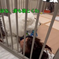 「ここは僕が守るよ」