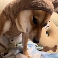 不満でブチギレ