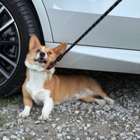 「まだ帰らせないぞ！」
