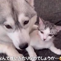 くぅちゃんを離さないりりたん⑩