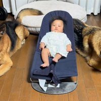 赤ちゃんとお兄ちゃん犬たち3
