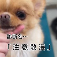 なんと『注意散漫』！！