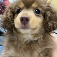 今後の成長にも期待！！