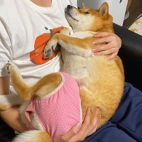 まるで赤ちゃんのよう♡