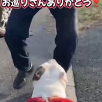 近寄る警察官