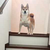 神々しい