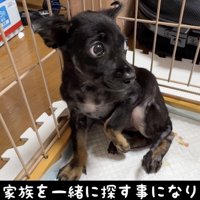 皮膚の病気で独り生活のメイ