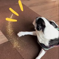 振り向いた瞬間に気づいて…