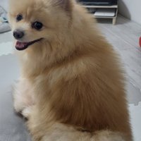 振り向く