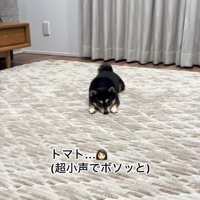 リラックス中に「トマト」と言ったら…