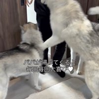 お出迎えは欠かしません！