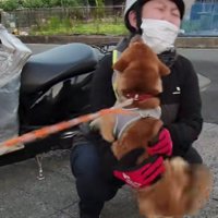 喜びの舞をお披露目