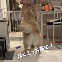 部屋着に着替えた友人へ駆け寄る麹くん