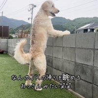 隠しきれないおっさん感