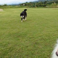 ニコニコ