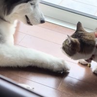 怒られないようにゆっくり、ゆっくり…