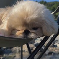 簡易チェアでお昼寝♪