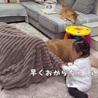 「おからちゃんを返して！」