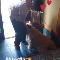 体を擦り付ける大型犬