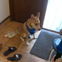 家族が出かける日のワンジローくん5