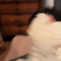 不意打ちの第二波！！