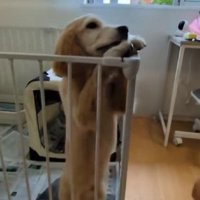 無邪気に挨拶するそらちゃん