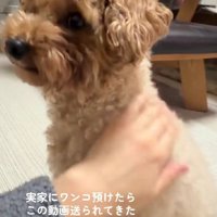 お母さんから一本のLINE