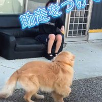 助走をつけて…