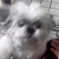 てんぽさんの熱烈歓迎3