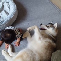 大福ちゃんの肉球！！