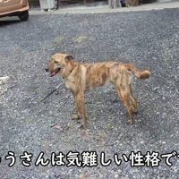 心配しながら待っていてくれました