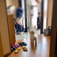 帰宅したのはおじいちゃん！！