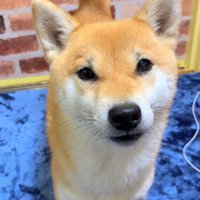 雨の日にお散歩へ