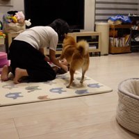 「ママ…何してるの…？」