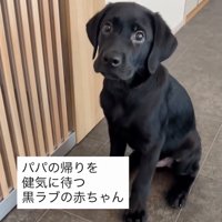 「パパは？」