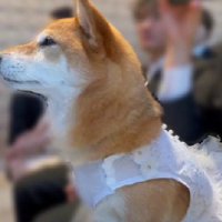 幸せを願っているのかも…