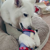 BJ くんに「お風呂入る？」と聞いたら3