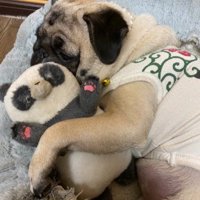 お気に入りもたくさん