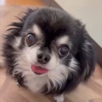 先輩