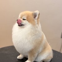 胸毛