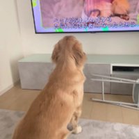 釘付けな姿にホッコリ