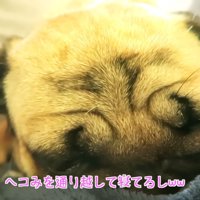 不貞寝しています