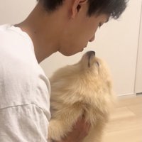 「ぼくは寝ています」