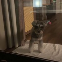 旅行中のティノちゃん7