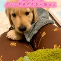 タオルを巻きつけるかんくろう君